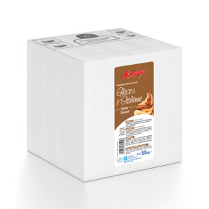 Mix glace chocolat 5L